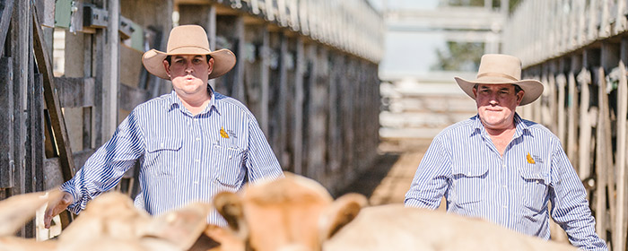 Joel and Brian Dawson herding cattle
